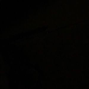 Meet your Posher, Thorn